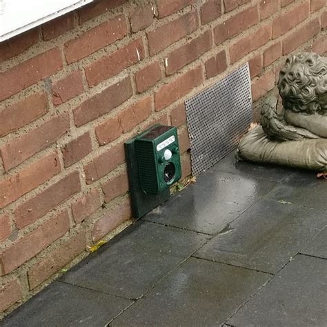 High pitched beep in house. .  <a href=https://new.fgbnuac.ru/pfopwlp/no-arete-bouldering.html>...