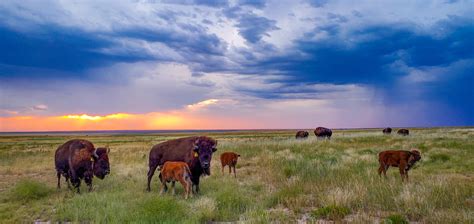 The High Plains are located in eastern Montana, southe
