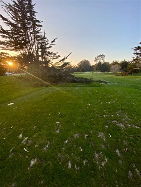 High school golfer hospitalized after he’s struck by fallen tree branch at Santa Cruz County club