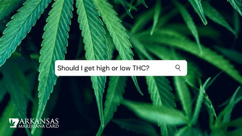 High vs Low THC Which Should You Get? Arkansas Marijuana Card