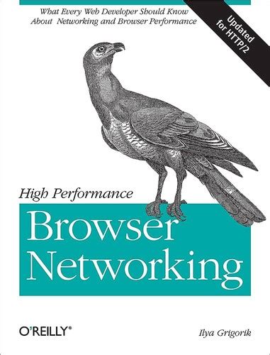Full Download High Performance Browser Networking By Ilya Grigorik