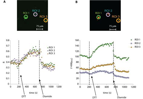 High-Resolution Imaging of Redox Signaling in Live Cells Through …