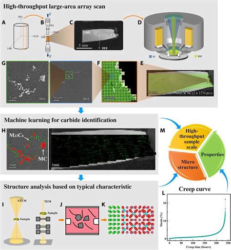 High-Throughput SEM via Multi-Beam SEM: Applications …