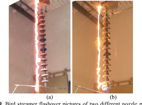 High-risk region of bird streamer flashover in high …