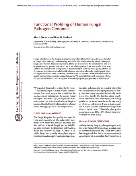 High-throughput functional profiling of the human fungal pathogen