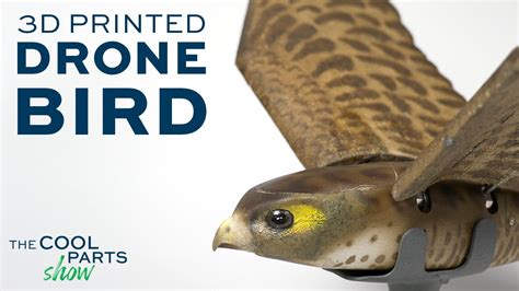 Read Online Hightech Diy Projects With Robotics By Maggie Murphy