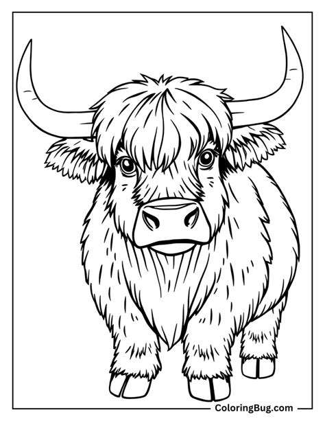 Coloring Sheets Of Indians
