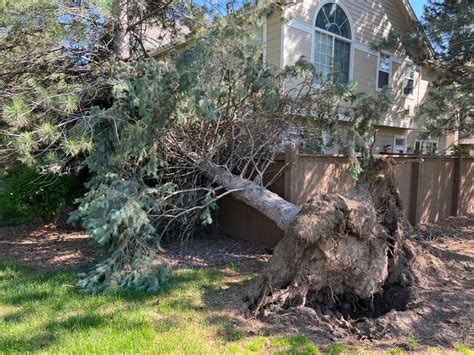 Highlands Ranch tornado tore out 16,000 trees but helped build a sense of community
