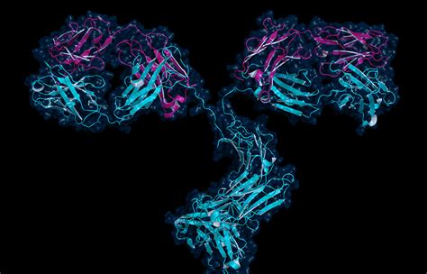 Highly Validated Monoclonal Antibodies NeoBiotechnologies