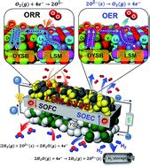 Highly active and durable double-doped bismuth oxide-based …