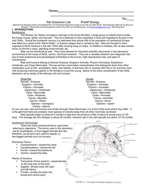 Highschool rat practical study guide answer key. - First aid manual 9th edition pearson.