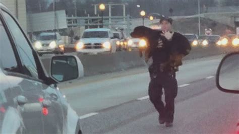 Highway heroics: O'Fallon police rescue dog stranded along I-70