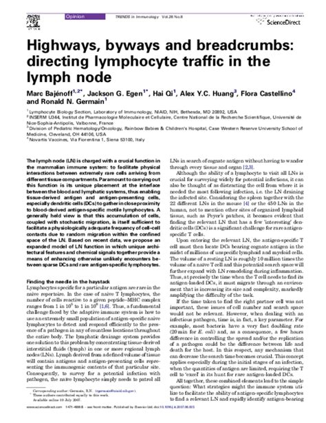 Highways, byways and breadcrumbs: directing lymphocyte traffic …