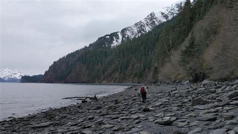 Hike Caines Head Callisto Canyon Cabin in Seward During Low Tide