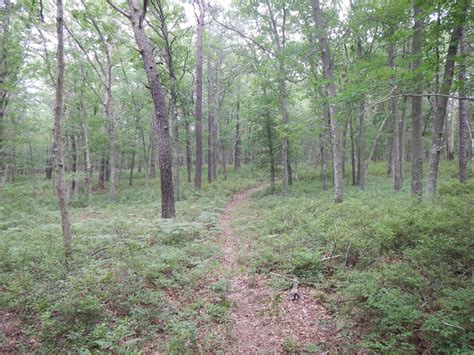 Hiking Central Pine Barrens Joint Planning and Policy …