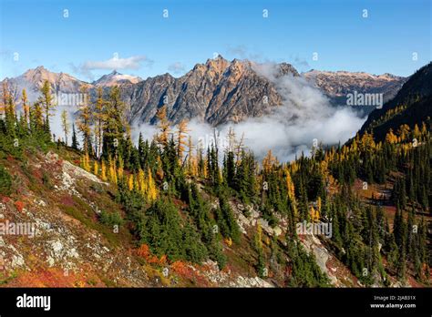 Hiking Maple Pass Trail in the Okanogan-Wenatchee National …