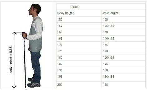 Hiking Stick Height Chart