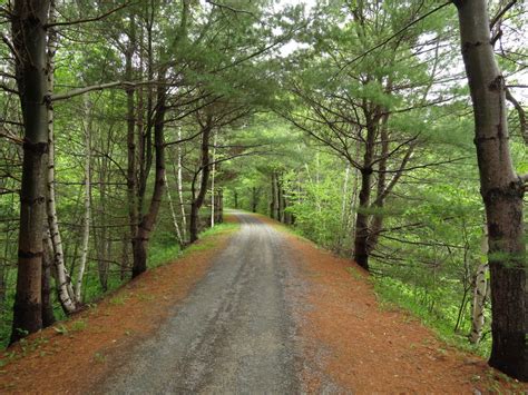 Hiking Things to Do Lunenburg Region