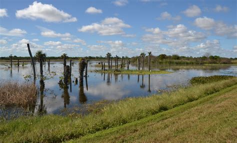 Hiking around Viera - Where to go hiking near Viera FL - Step …