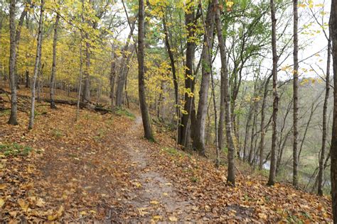 Hiking at Carley State Park — Nature Impacts Us