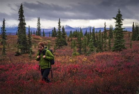 Hiking in alaska. The best hiking in Alaska you don’t want to miss. This list covers the best options for hiking in Alaska that you should add to your Alaska road trip itinerary! [lwptoc hideItems=”1″] Centennial Trail. Difficulty: Easy. Distance: 0.75 miles (or add 1.9 miles) 