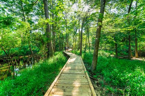 Hiking in houston. Best hiking near Houston 1. Memorial Park. The biggest park is the logical place to start hiking. Located minutes from downtown, the former Army training camp for WWI soldiers is named in their memory. This easy 2.5-mile loop follows the Purple Trail beneath native pine and elm trees. You’ll meander beside and over several small … 