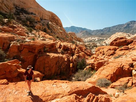 Hiking las vegas the all in one guide to exploring red rock canyon mt charleston and lake mead. - Sspc guía de bolsillo para recubrimientos.