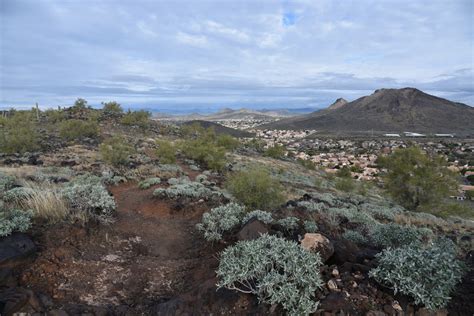 Hiking the Cholla Loop in Thunderbird Conservation Park