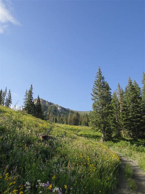 Hiking to Willard Peak & Ben Lomond Peak via Willard Basin - Girl …