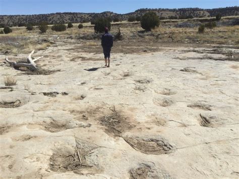 Hiking to the largest dinosaur trackway in North America