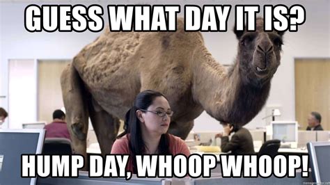 Apr 12, 2023 · We have compiled some of the most hilarious Hump Day Memes, images, and Wednesday Pics to fill your week with humor and help you get to the weekend quickly. Collection of Happy Hump Day Memes to Survive the Week. Batman Hump Day Meme. Cute Hump Day Meme. Donkey Hump Day Meme.. 