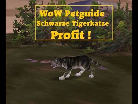 Hilfreiche Addons - wow-petguide.com