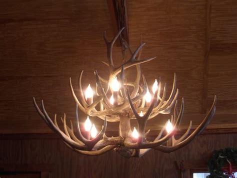 Hill Country Antler Art - Fredericksburg, TX - Yelp