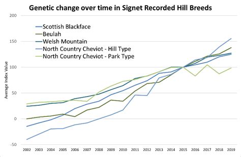 Hill Sheep Breeding Index Signet Breeding