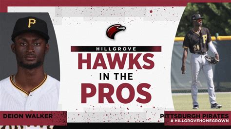 Hillgrove Baseball (@hghawksbaseball) / Twitter