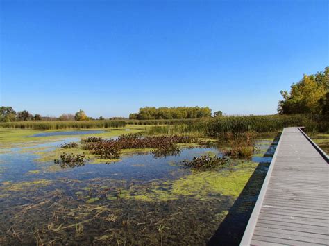 Hillman Marsh - Essex Region Conservation