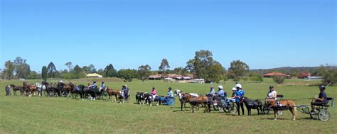 Hills District Harness Club - Facebook