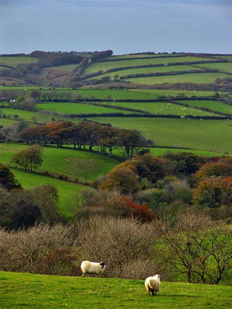 Hills of Devon