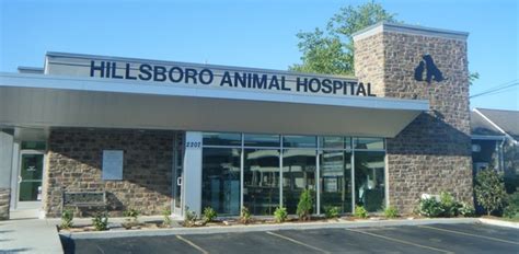 Hillsboro animal hospital. Things To Know About Hillsboro animal hospital. 