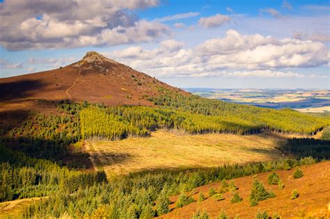 Hillshills Leaked +18 💋