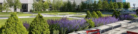 Hillside, NJ Commercial Landscape Services BrightView