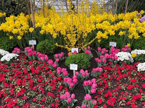 Hilltop Hanover Farm Accepting Orders For Spring Plants