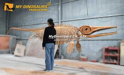 Himalayacetus Vikipedi. 