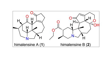 Himalensines A and B, Alkaloids from Daphniphyllum himalense