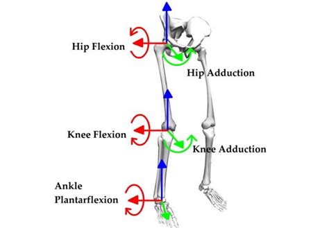 Hip and Knee Glossary of Terms from A to Z