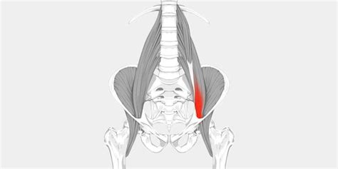 Hip flexor strain icd 10. Strain of muscle, fascia and tendon of right hip, initial encounter S76.011A is a billable/specific ICD-10-CM code that can be used to indicate a diagnosis for reimbursement purposes. Short description: Strain of muscle, fascia and tendon of right hip, init The 2024 edition of ICD-10-CM S76.011A ... 