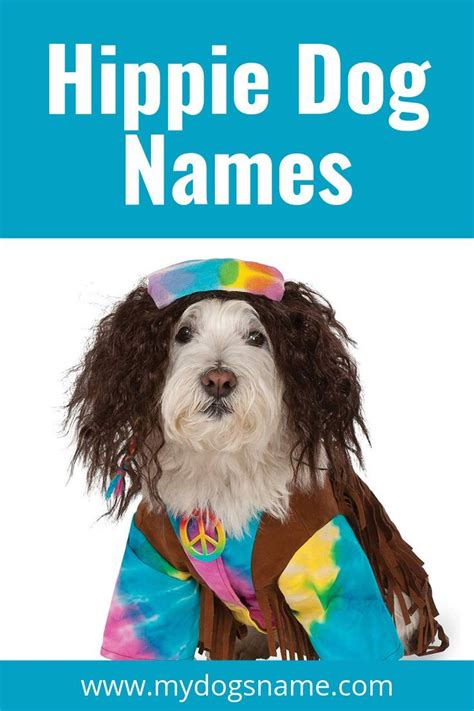 Male Hippie Dog Names. Female Hippie Dog Names. Full List of Best Hippie Dog Names. Choosing a Name That Fits Your Dog. Our 109 best hippie dog names. Peace, love, and Karma! Here are the one hundred and nine best hippie dog names and why those names are fantastic choices for your new furry friend.