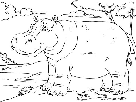 Hippo Coloring Basketba