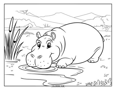 Hippo Coloring Shee