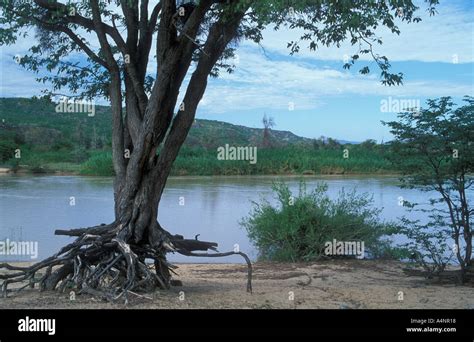 Hippo Pools – On the Kunene River Wilkinson